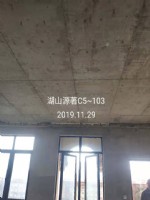 其他案例