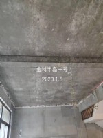 其他案例